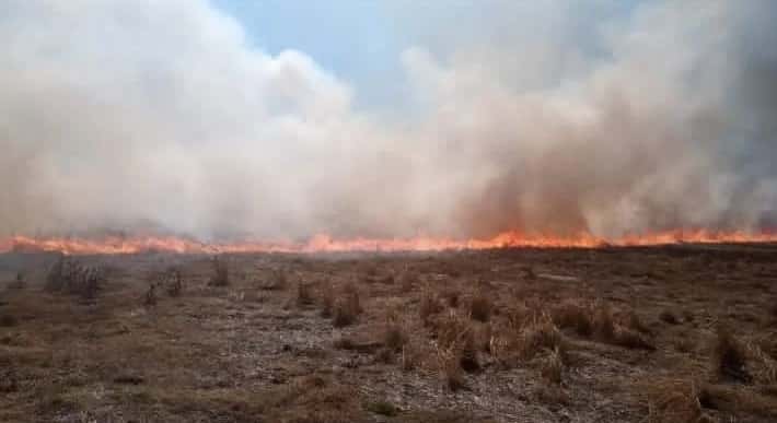 Galarza: Ardua tarea de bomberos que sofocaron 4 incendios