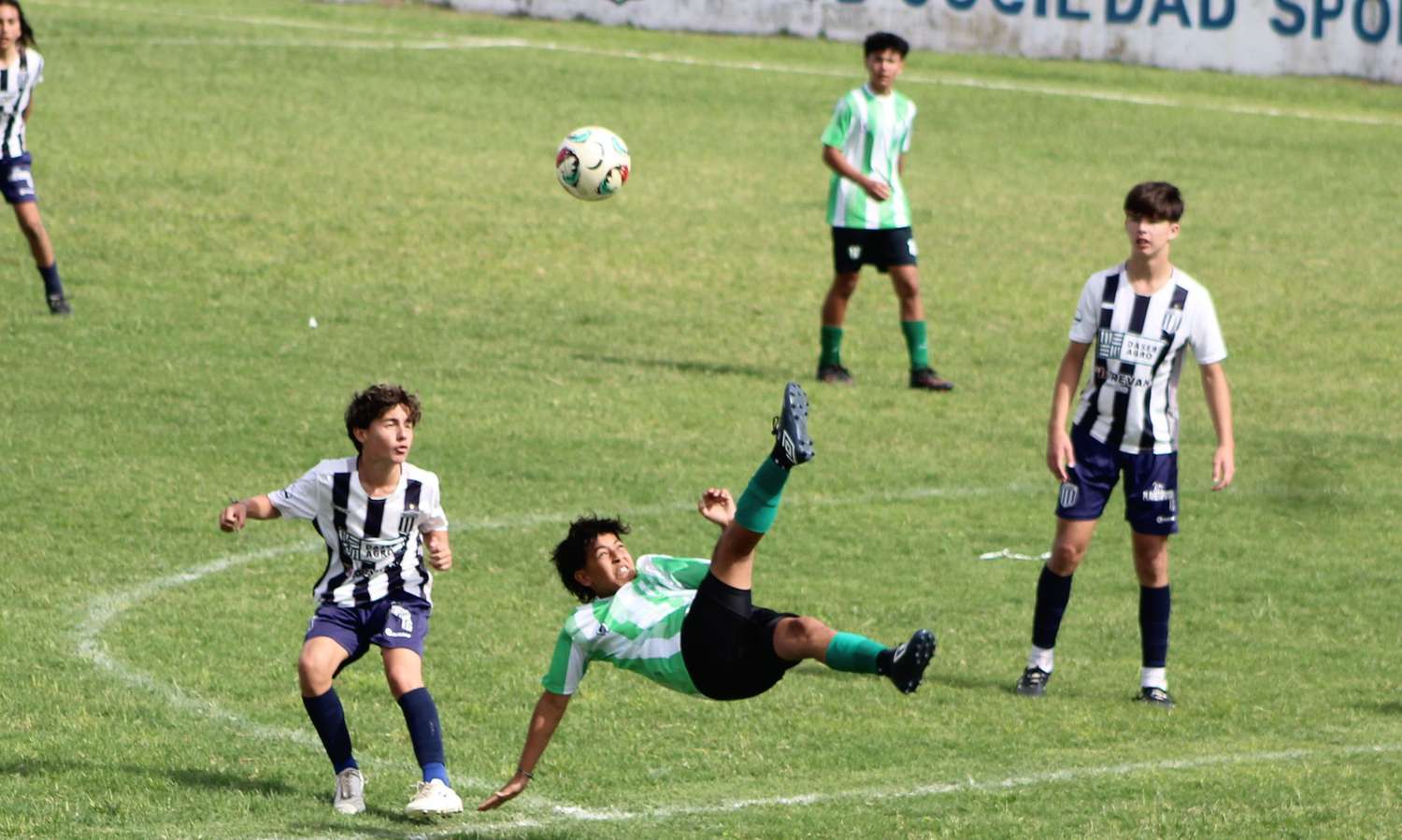 Comienzan a definirse las Divisiones Inferiores