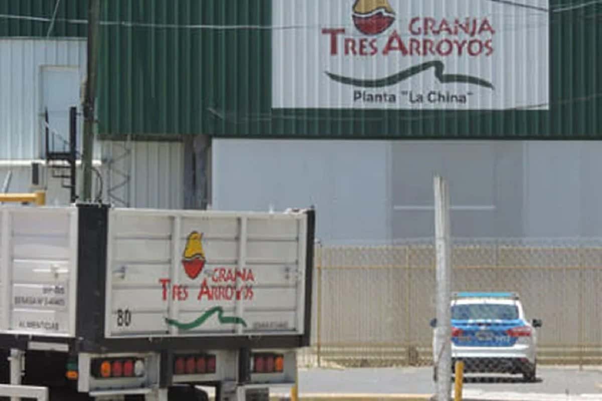 Denuncian que se liberaron efluentes de un frigorífico al Río Uruguay