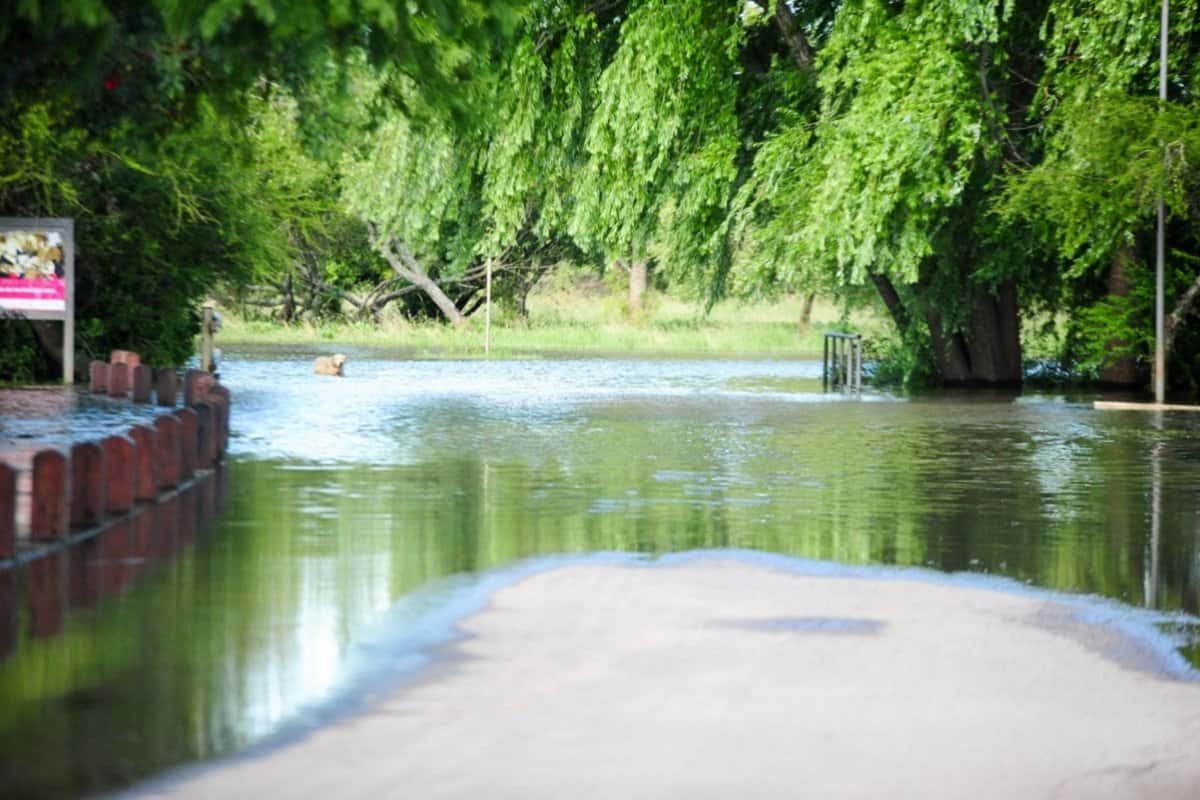Difunden las previsiones de INA y SMN para los ríos y la creciente en el verano