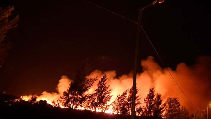 Ecoparque de Gualeguaychú sufrió un incendio de “dimensiones importantes”