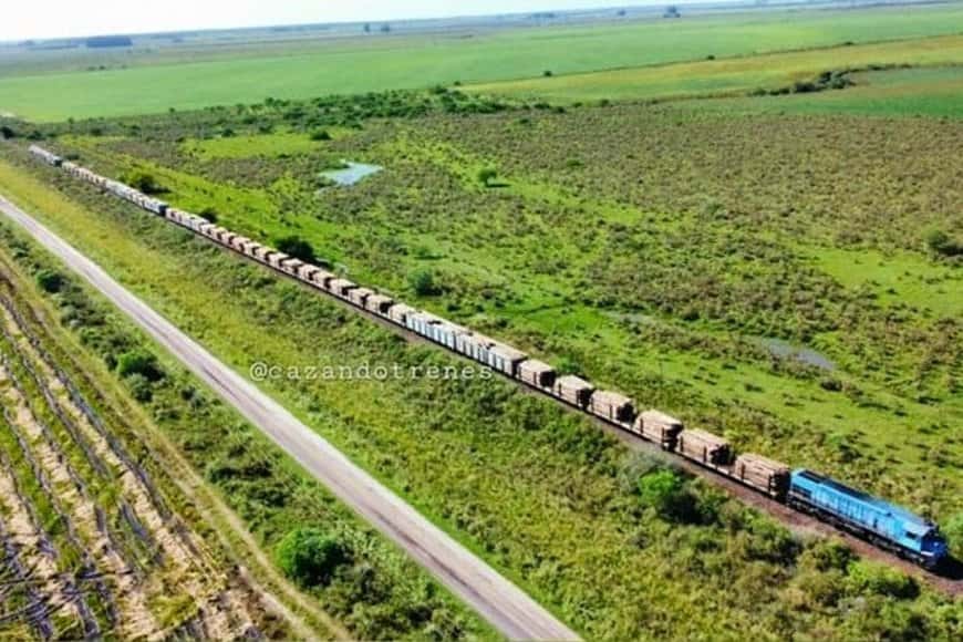 Vagones cargados de madera descarrillaron en su paso por Entre Ríos