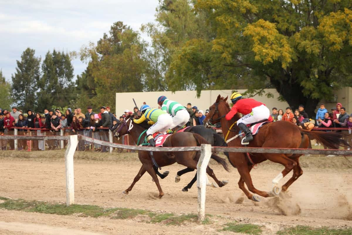 Una atractiva reunión hípica se realizó en el hipódromo local – Diario ...