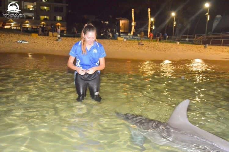 Alimentando a Silhouette, la única delfín hembra