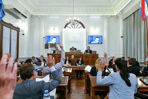 El Senado aprobó por unanimidad cambios en la ley de prevención de la tortura