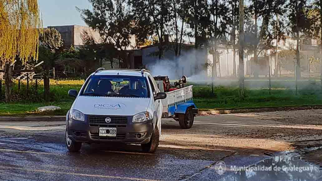 Dengue: detectaron un caso en Gualeguay