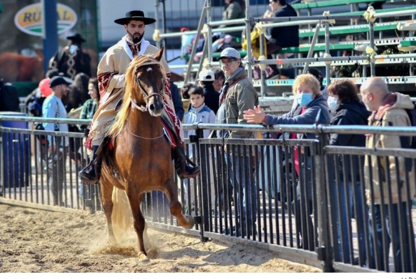 Comenzó la Exposición Rural de Palermo: todo lo que tenés que saber ...