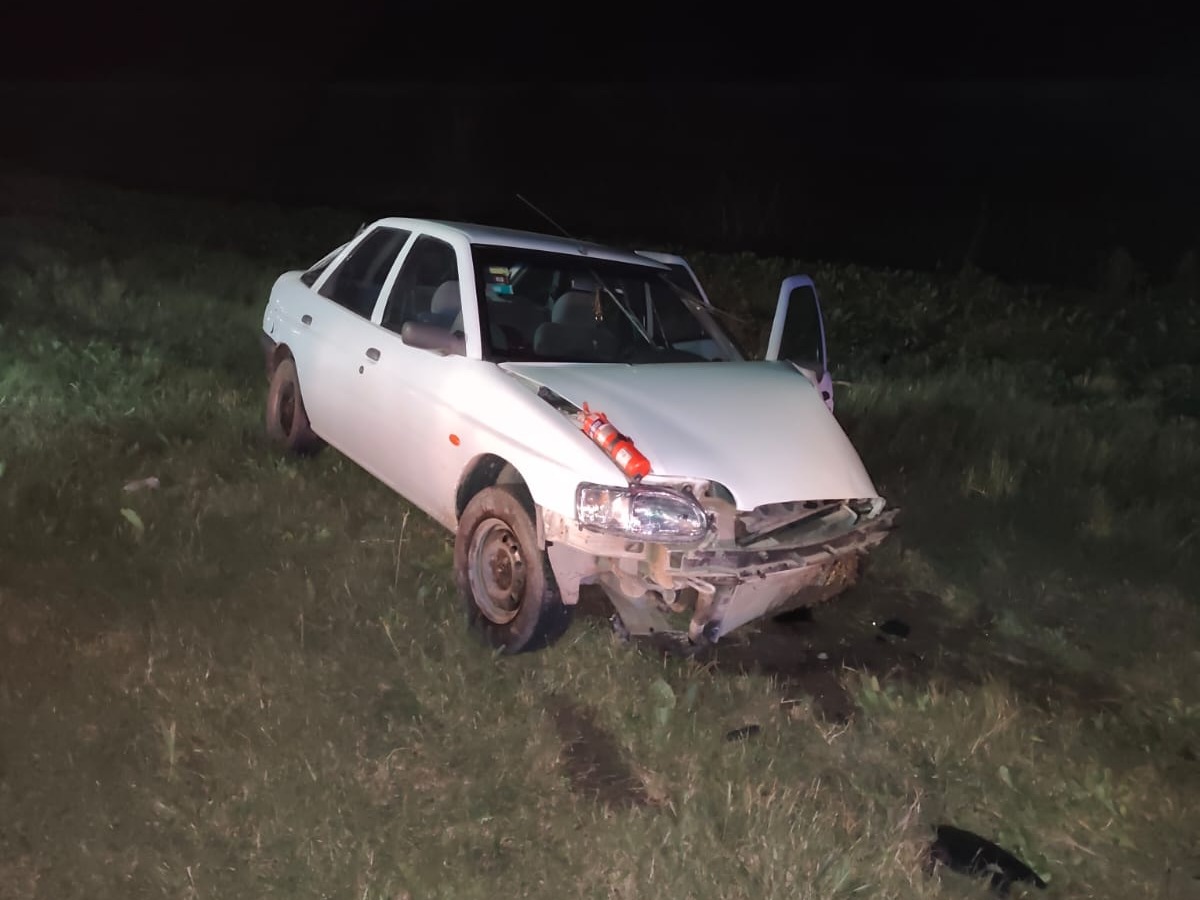 Un carpincho provocó un fuerte accidente en Ruta 12: cuatro personas hospitalizadas