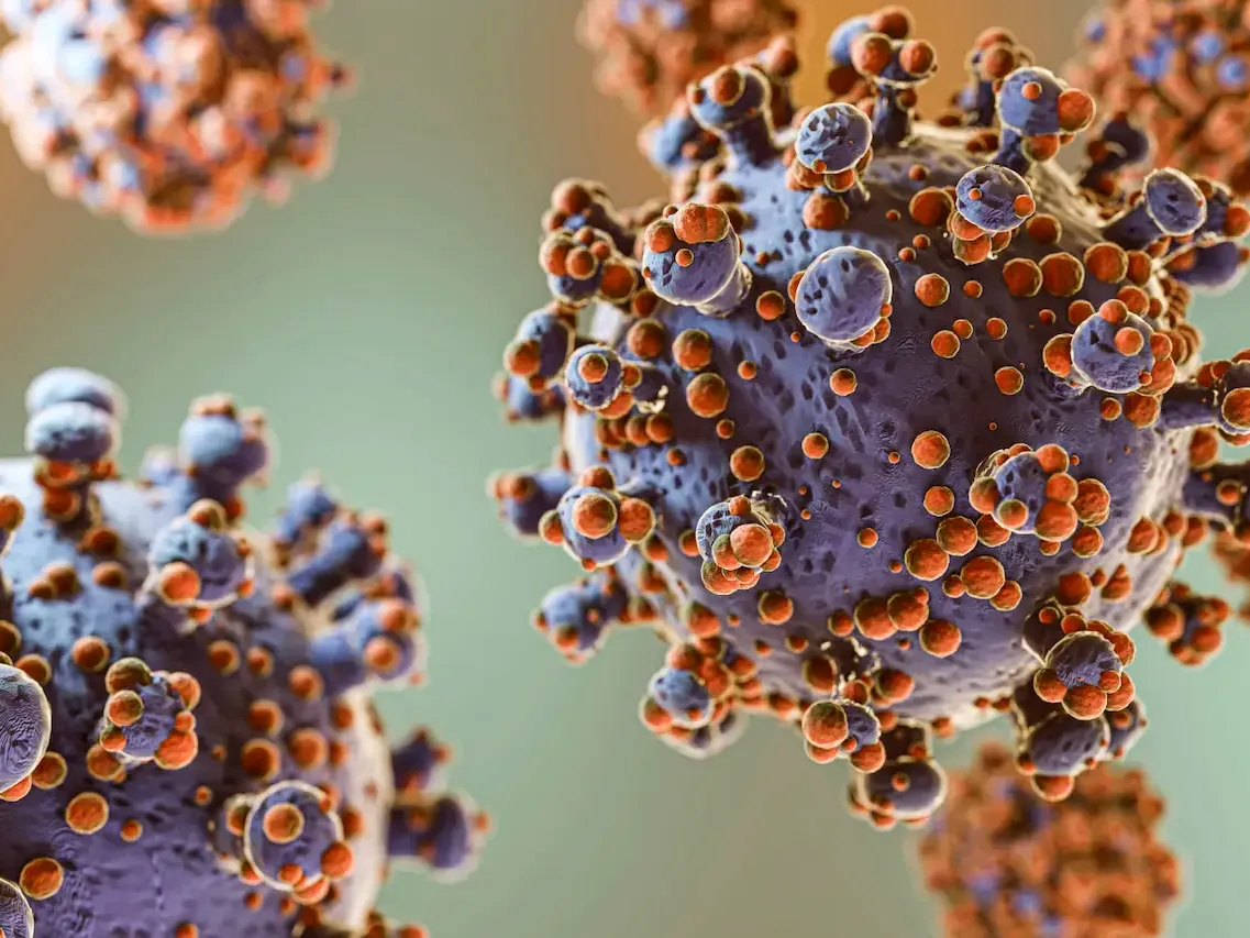 Los casos de Hantavirus ascienden a 102 en la Argentina