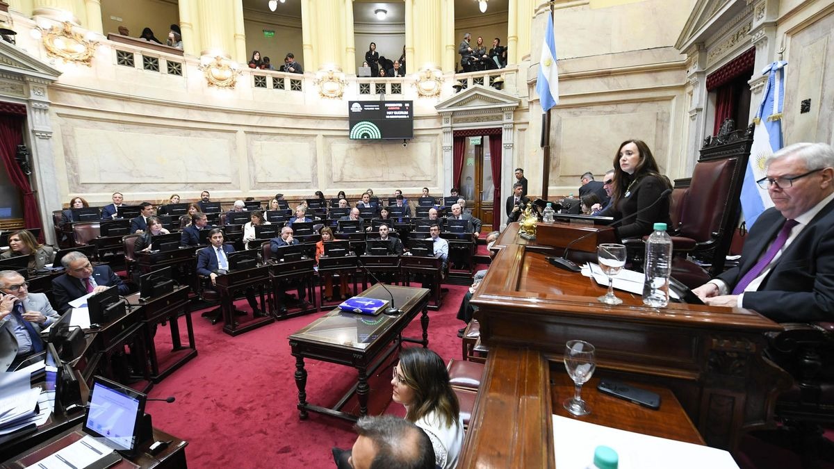 El Senado aprobó y convirtió en ley la regularización de armas de fuego