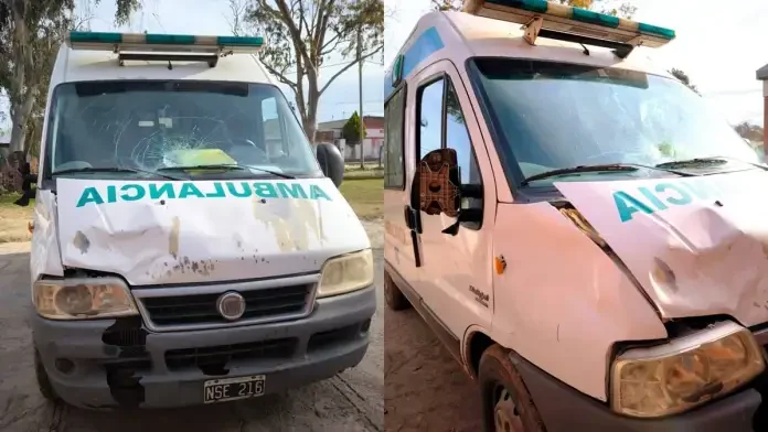 Ibicuy: una ambulancia chocó contra un caballo suelto en la ruta y el intendente exigió sanciones más duras