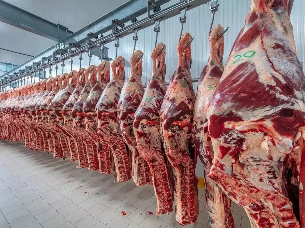 El consumo de carne vacuna tocó su punto más bajo en veinte años