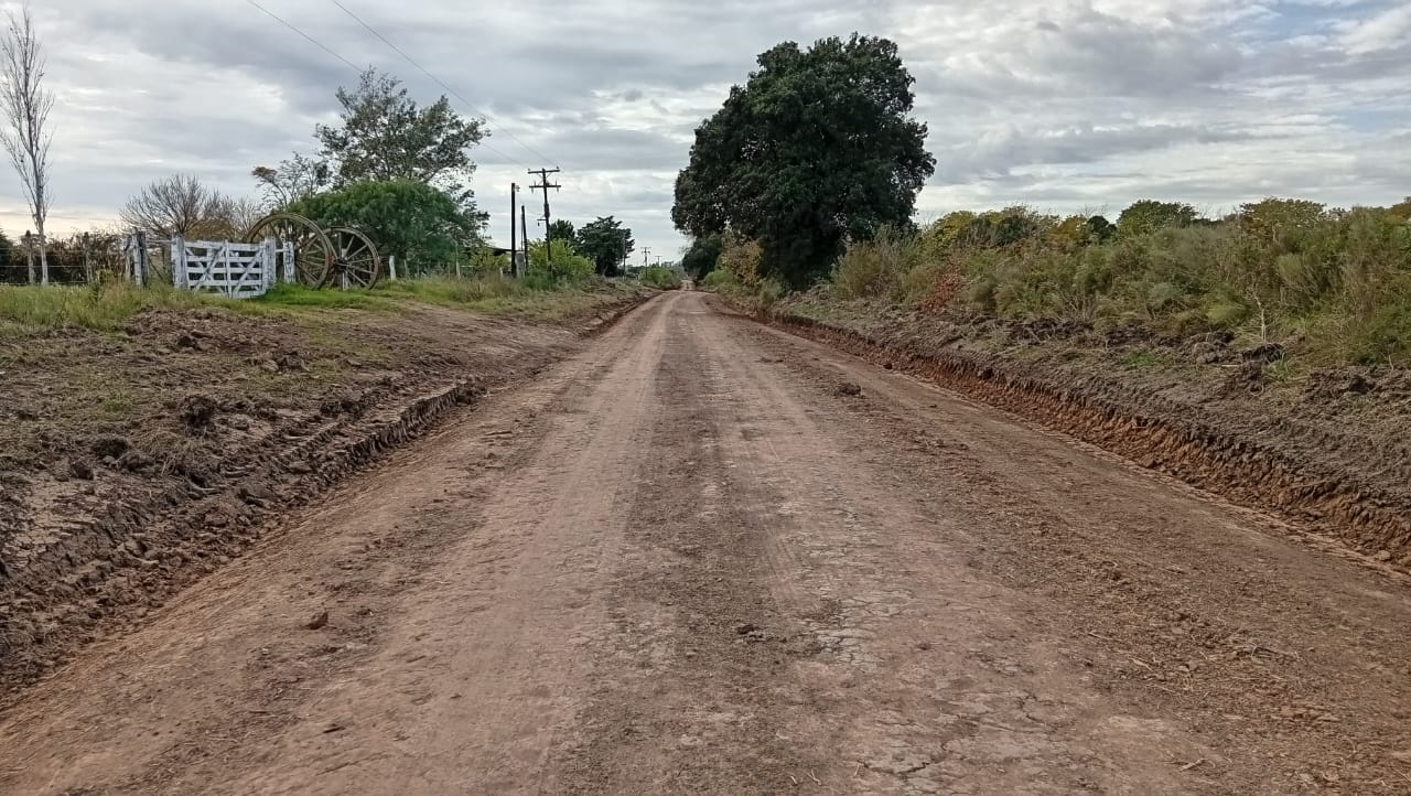 Calderón: Intensifican los trabajos de perfilado y desmonte de acacia negra
