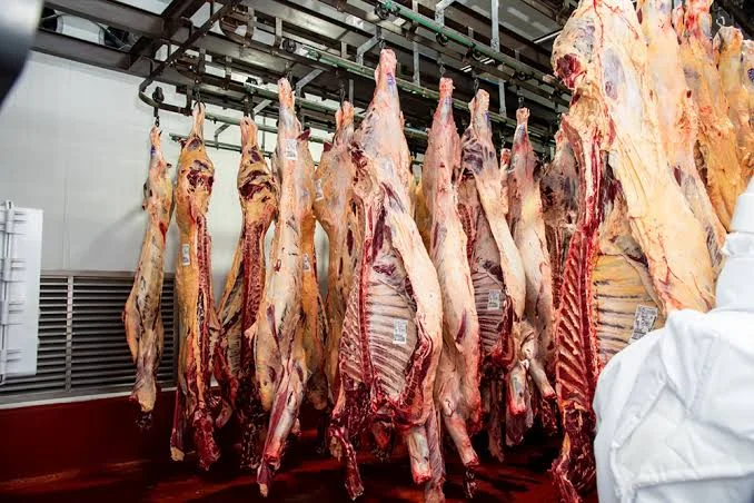 El consumo de carne vacuna se derrumbó 11,5% en el primer semestre del año