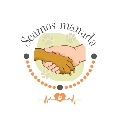Seamos Manada: una red solidaria que transforma la vida de los animales más vulnerables